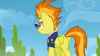 Spitfire 'Whoever finds the most flags' S3E7