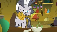 Zecora Adding Ingredient S2E6