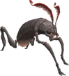 Wamouracampa 1 (FFXI)
