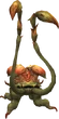 Rafflesia 2 (FFXI)