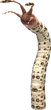 Worm 4 (FFXI)