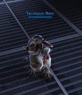 Tauntaun Ram