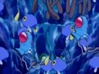 VI06 Chinchou, Tentacool