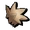Lucky Tuft