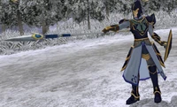 FE10 Halberdier (Aran)