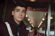 ZaynFacts-6