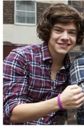 Harry-Wristband