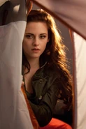 Bella BDp2