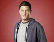 http://glee.wikia