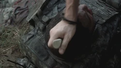 Twd303-000589