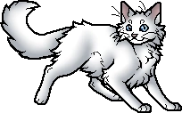 Cloudtail.apprentice