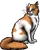 Brightheart.warrior
