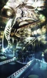 Nautilus 8