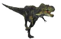 Trex1