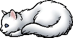 Cloudtail.kit