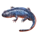 Item molesalamander 01