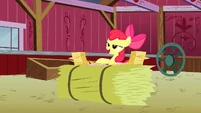 Apple Bloom looking at all the RVSP S3E8