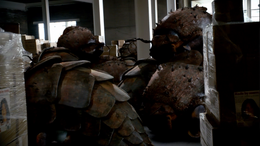 5x1hibernatingFutureBurrowers
