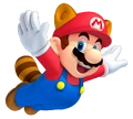 NSMB2 RaccoonMariotransparent
