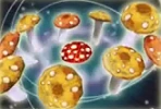 Shroomboombasicupgrade2