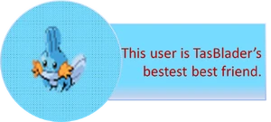 Mudkip banner