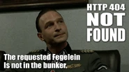 Fegel404