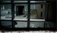 Left Behind 9