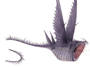 Thunderdrum Screech