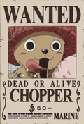 Tony Tony Chopper's Wanted Poster