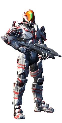USER Spartan123