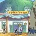 Spice Bean Portrait