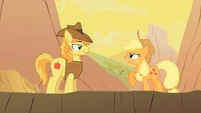 Applejack talks to Braeburn S01E21
