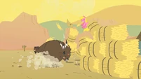 Cherry Berry goes flying S01E21
