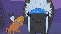 Chief Thunderhooves Face2 S1E21
