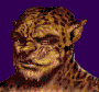 Shaman