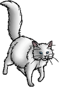 Frostfur.queen