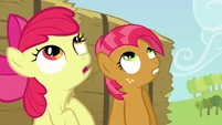 Babs and Apple Bloom looking up S3E08