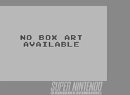 No Box Art SNES