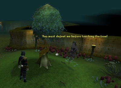 Lost City