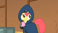 Apple Bloom main dancer S1E18