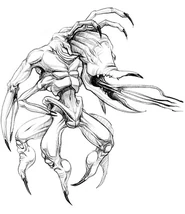 Shrykull concept