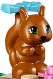 Squirell