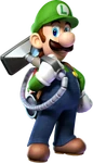 Luigirr