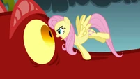 Fluttershy stares at the dragon S1E07