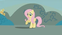 Fluttershy looks at her shadow S1E07