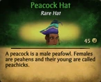 Peacock hat