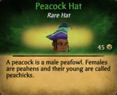Peacock hat