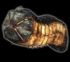 Larva