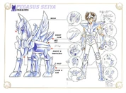 Pegasus Cloth V-04