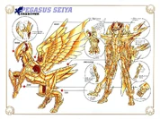 Pegasus Cloth V-06